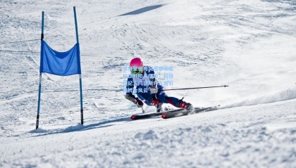 多特蒙德与阿德耶米续约谈判陷入僵局，超级经纪人门德斯介入或引发转会风云