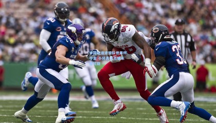 中国短道速滑队世界杯夺金 小将表现亮眼未来可期